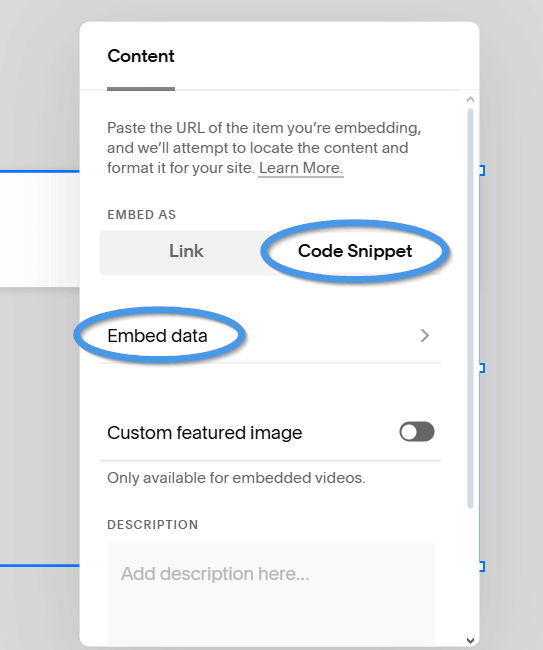 Squarespace blog install step