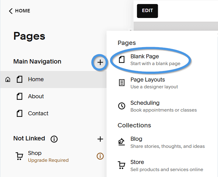 Squarespace blog install step
