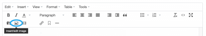 insert/edit image