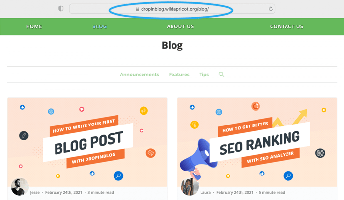WildApricot blog install step