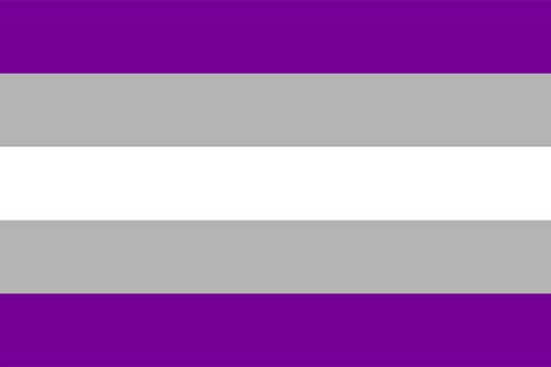 Graysexual Flag