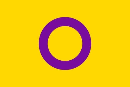 Intersex Pride Flag