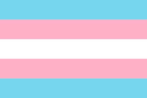 Transgender Pride Flag