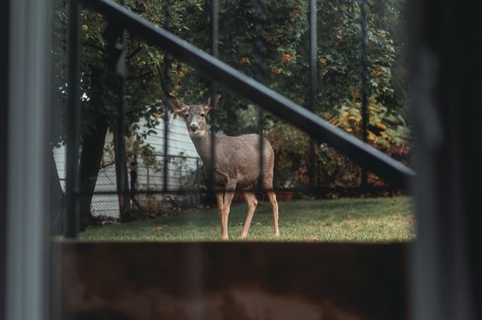 Photo taken through a window of a deep standing in a residential yard. There is a handrail and metal fencing in the foreground.