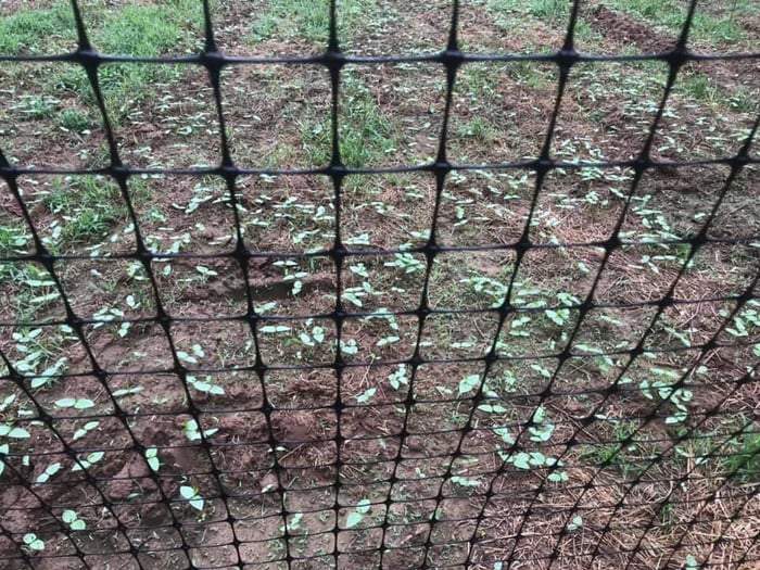 extruded-fence-1.jpg