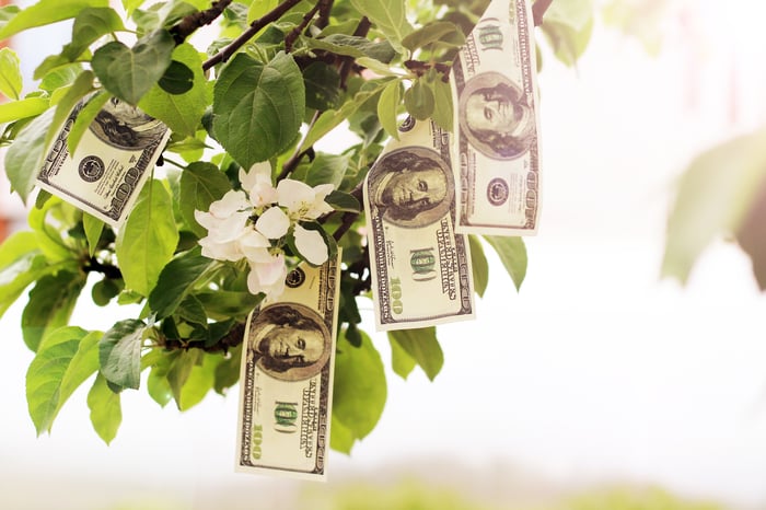 ​Deer Fence Cost Breakdown: Budgeting for Your Wildlife Barrier