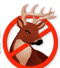 The History of DeerBusters