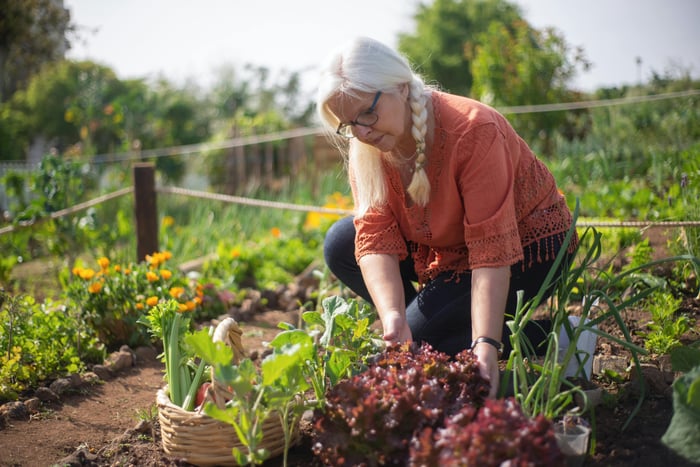 Healing Through Gardening: The Therapeutic Benefits for Veterans and Seniors