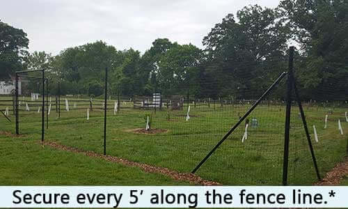 ground-stakes-map.jpg