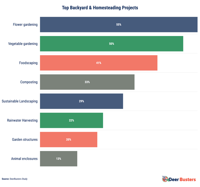 Bar chart showing the most popular backyard projects among Americans