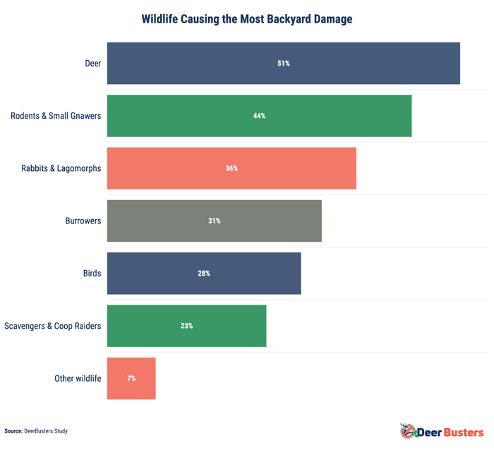 Bar chart showing wildlife most likely to damage gardens: Deer (51%), rodents (44%), rabbits (36%), burrowers (31%), birds (28%), scavengers like raccoons (23%), and other wildlife (7%).