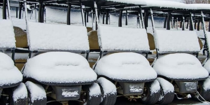 Golf Cart Winter