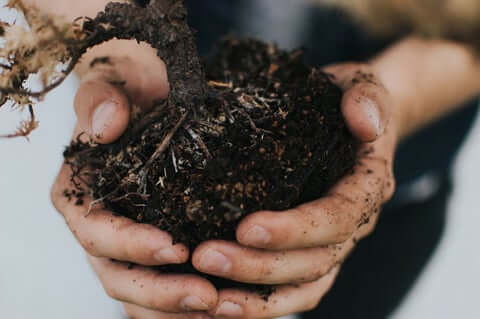 compost_soil_earth_Day