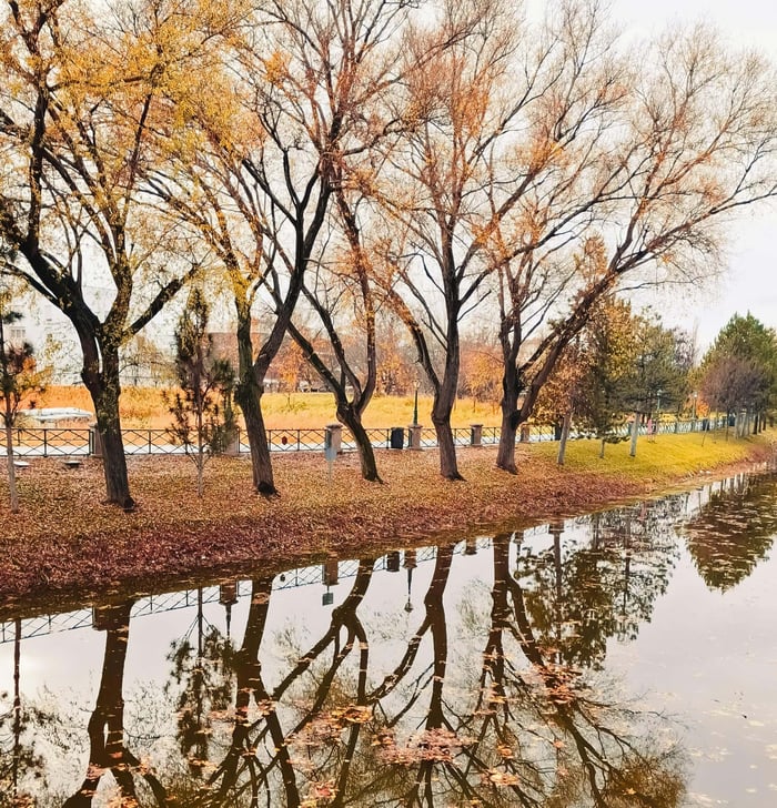 Understanding Intimate Partner Violence (IPV)