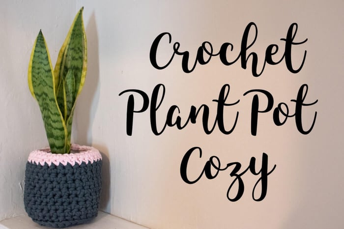 crochet-plant-pot-cozy-crayons-2.jpeg
