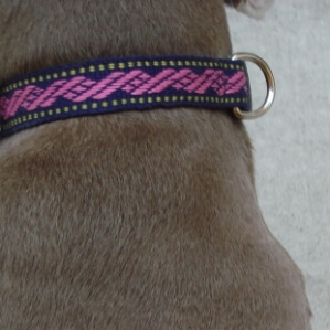 DogCollar