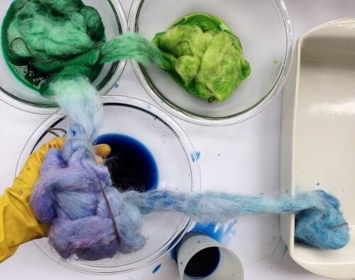 Transferring dyed fiber to a baking dish.