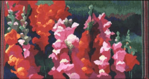 Snapdragons