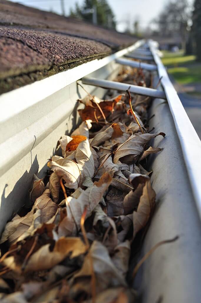 fall-gutter-tVnon1.jpg