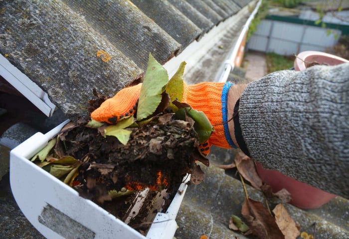 Professional gutter cleaning with debris removal tools