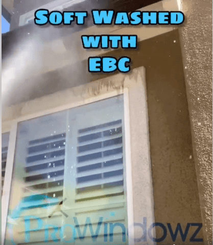 Nando Medina softwashing construction dust from residential siding using EBC degreaser