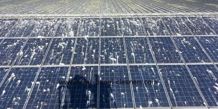 seagull_droppings_on_solar_panels_2-7rQfm1.jpg