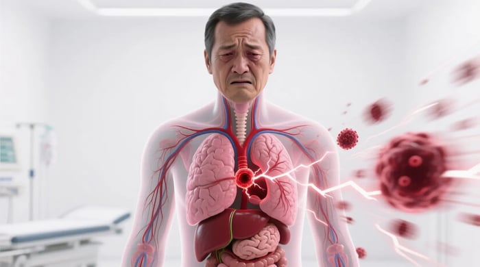 理解癌症轉移速度：機制、影響因素與最新研究進展