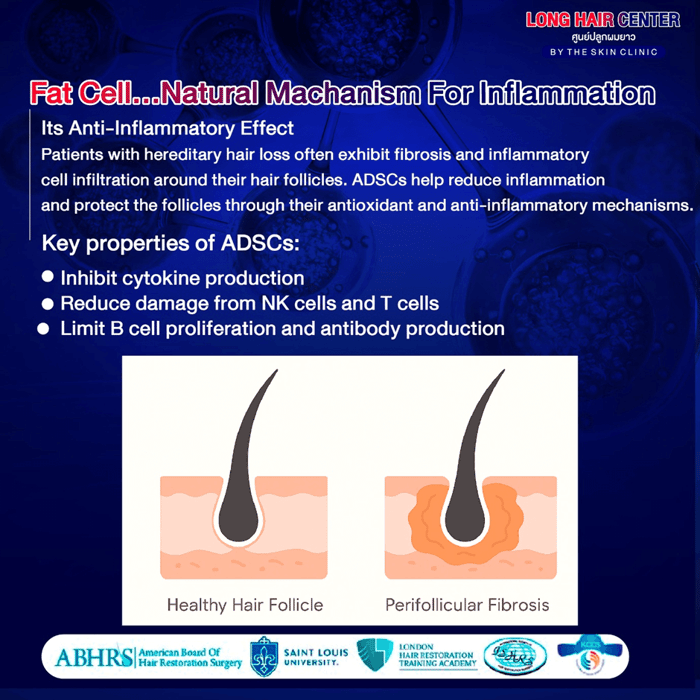 Using one’s own fat to restore hair, known as Nano Fat, is a groundbreaking innovation in the hair transplantation field that has gained significant attention. It delivers visible results with a high level of safety. This article will take you deeper into everything about Nano Fat. An appealing option for those facing hair loss or thinning. While uncovering why Nano Fat has become a key factor in enhancing the effectiveness of hair transplantation.