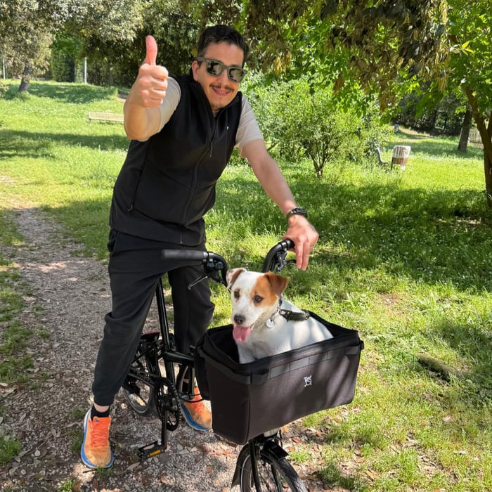 A Small Ride, A Big Shift