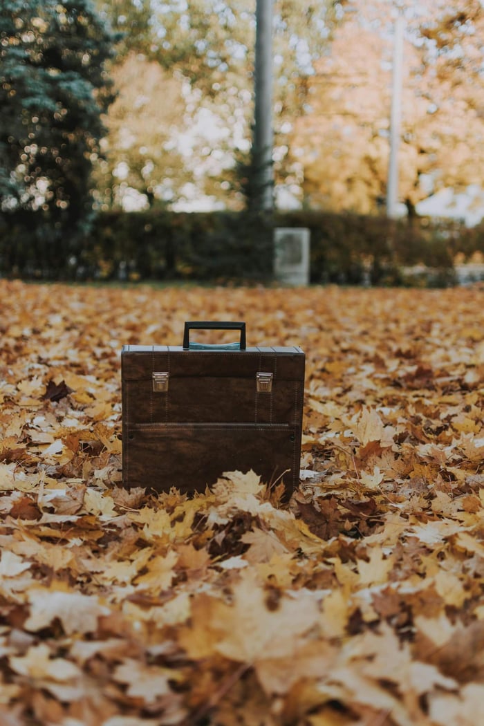 A classic briefcase rests among vibrant fall leaves in an outdoor setting.