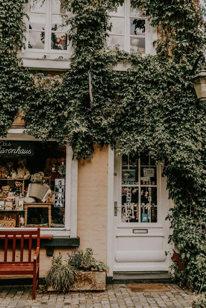 A cozy ivy-clad shopfront with antiques in Bremen, Germany, showcasing rustic charm.