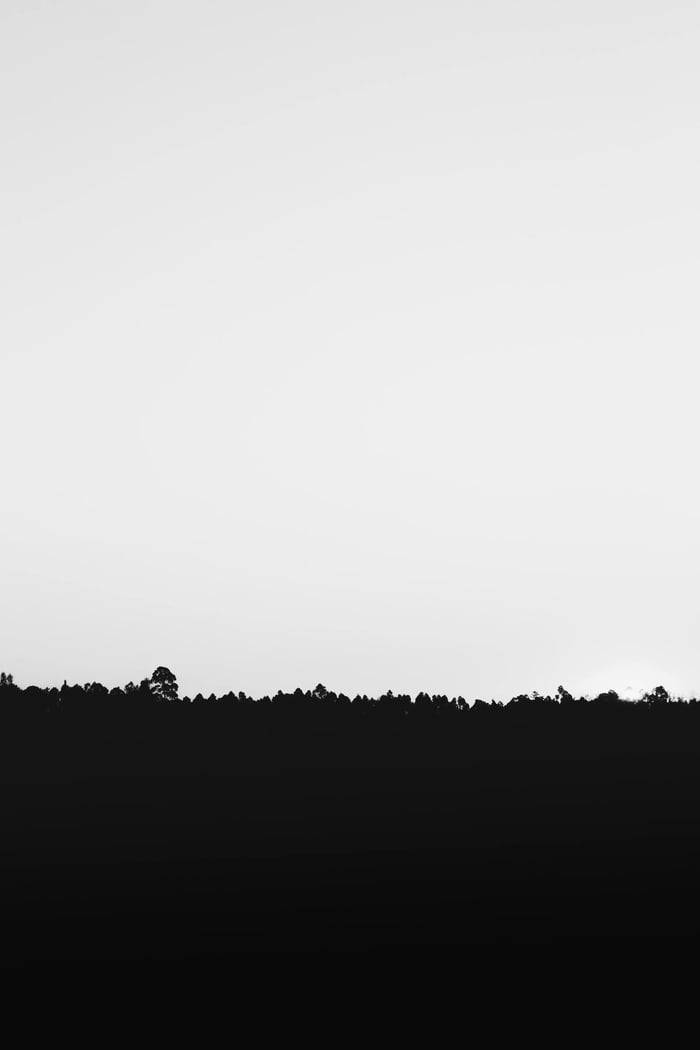 A minimalist black and white image featuring a tree silhouette against a bright sky background.
