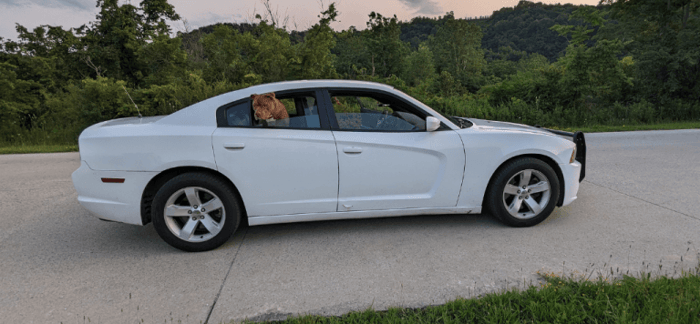 2014 Dodge Charger