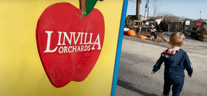 Linvilla Orchards image 1