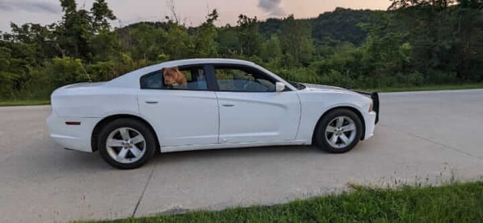 Revamped 2014 Dodge Charger