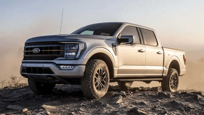 Silver Ford F 150 with high overall rating of satisfaction and ability to drive for long distances depending on how much fuel you purchase.