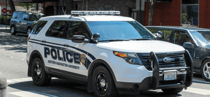 Ford Explorer Image 3