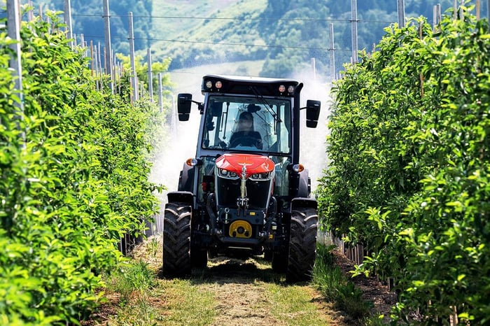 MF 3700 Series tractor in a orchard setting.