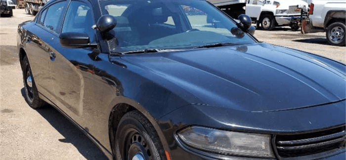 2015 Dodge Charger image