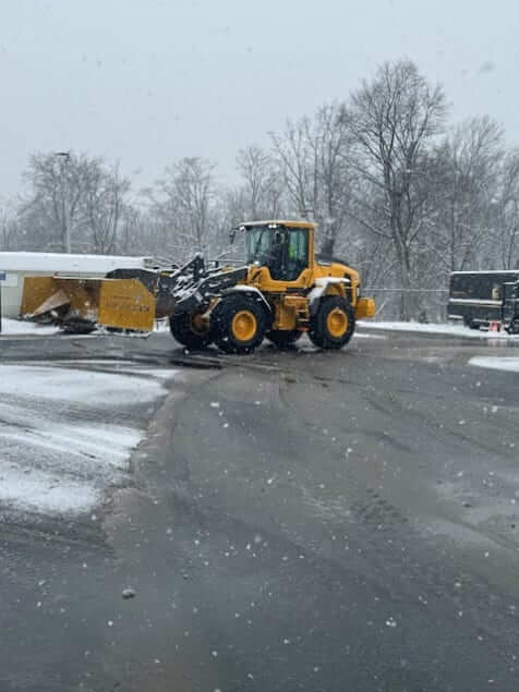 Lingo hard at work during the winter season.
