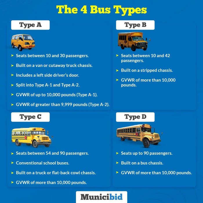 Bus Types infographic