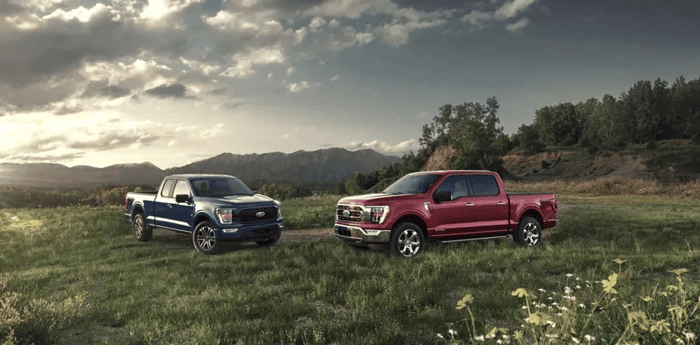 Two Ford F 150 trucks demonstrating the difference between them and contrasting the heavier ones in the lineup.