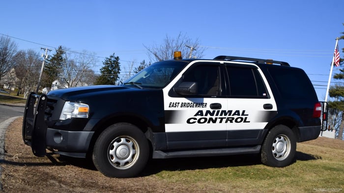 Fastest Police Cars in Action: How Speed Helps Law Enforcement