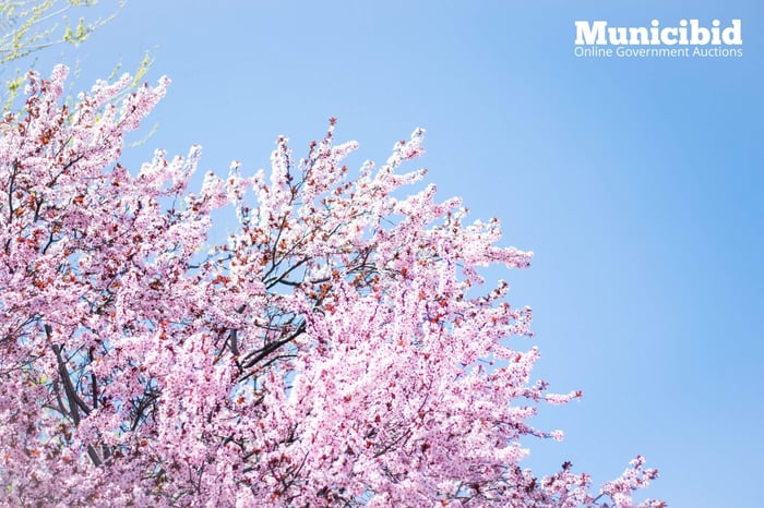 3 Tips to Declutter Government Assets by Municibid, the “Marie Kondo” of Government Surplus.