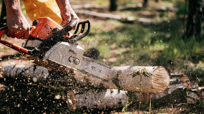The Best Chainsaws and Chainsaw Brands