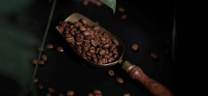 Blend de café