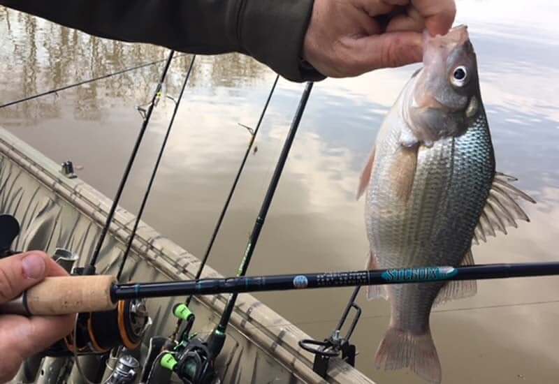 St. Croix Premier Spinning Rod Review St. Croix Premier Spinning Rod Review