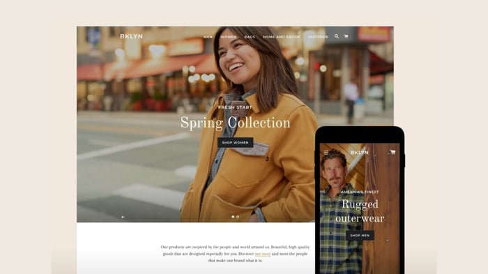 Top Free & Paid Shopify Themes For Any Purpose