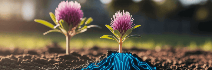 How Mid Market Aussie Brands Drive Growth with Shopify Plus