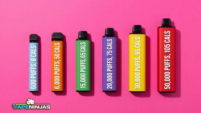 does vape has calories How Many Calories Are In A Vape? Full Breakdown & Facts